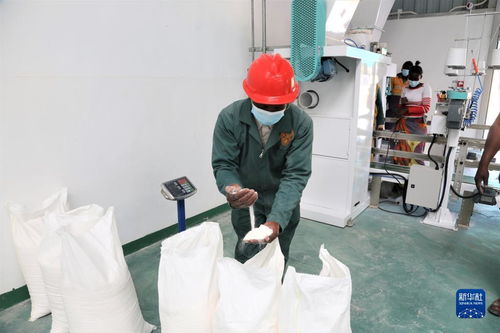 中國(guó)援建贊比亞玉米粉加工廠項(xiàng)目交付